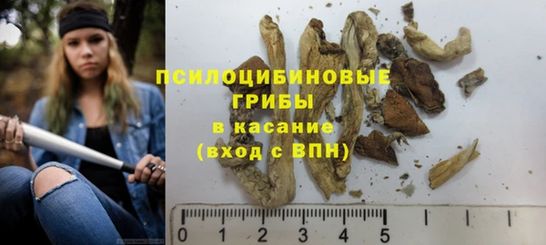 эйфоретик Тихвин
