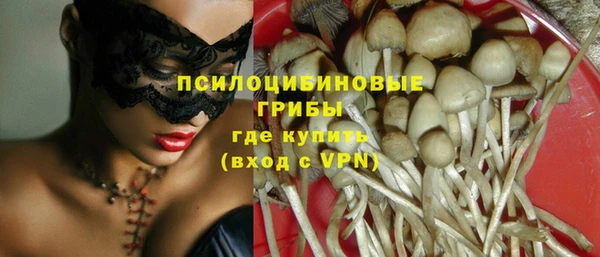 твердый Ступино